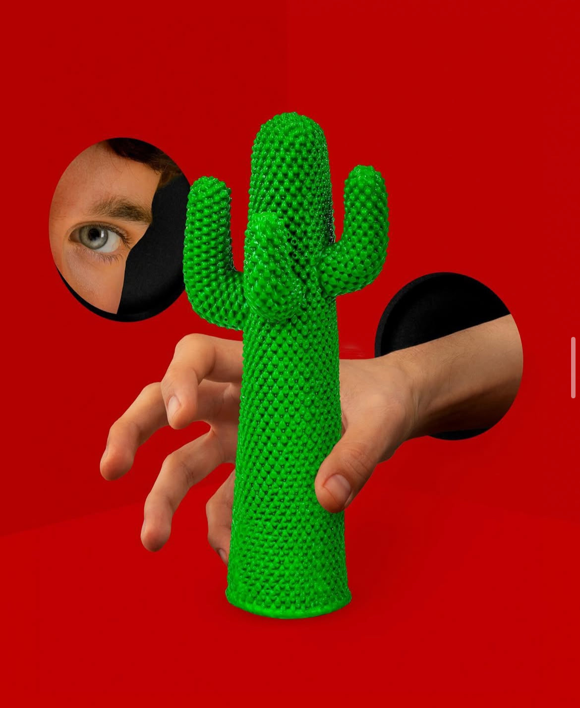 CACTUS SCULPTURE - Creative Decor and Luxury Art Piece