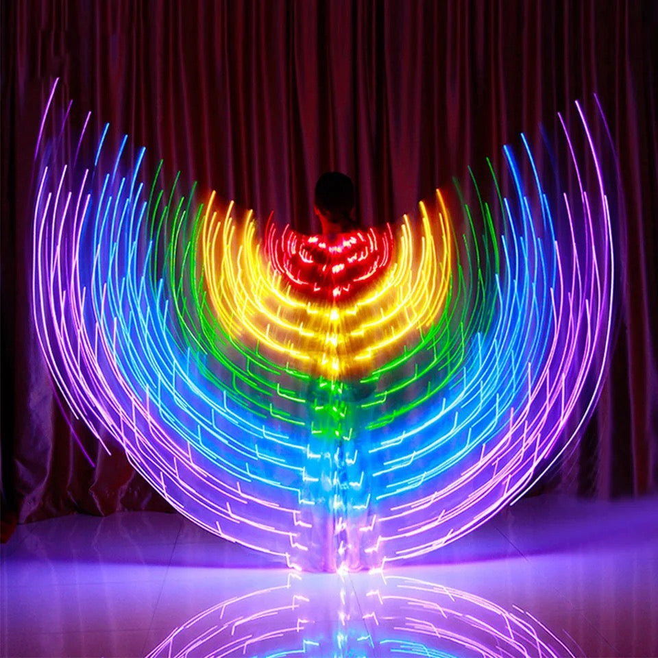 RAINBOW WINGS / Party Costume