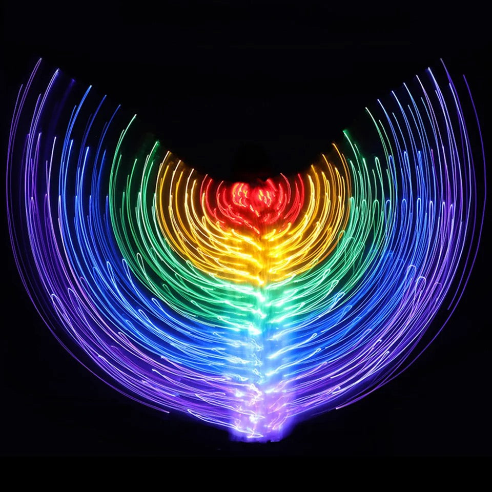 RAINBOW WINGS / Party Costume