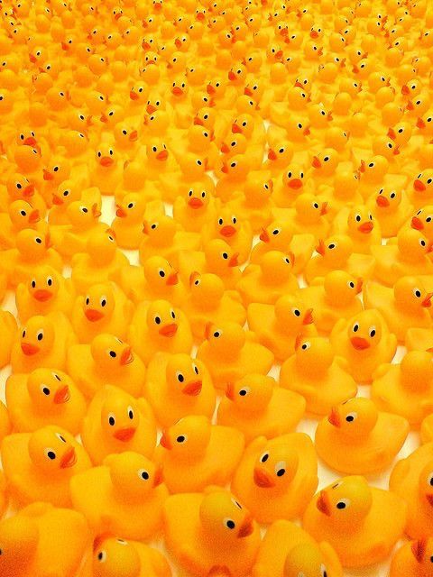 Yellow Duck - Toy