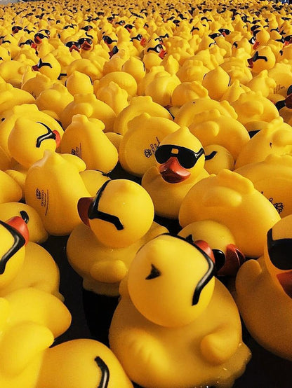 Yellow Duck - Toy